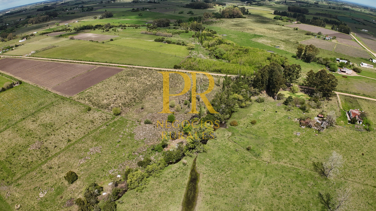 Chacra ID.5 - Campo en Las Violetas Canalones 4.5 hectáreas