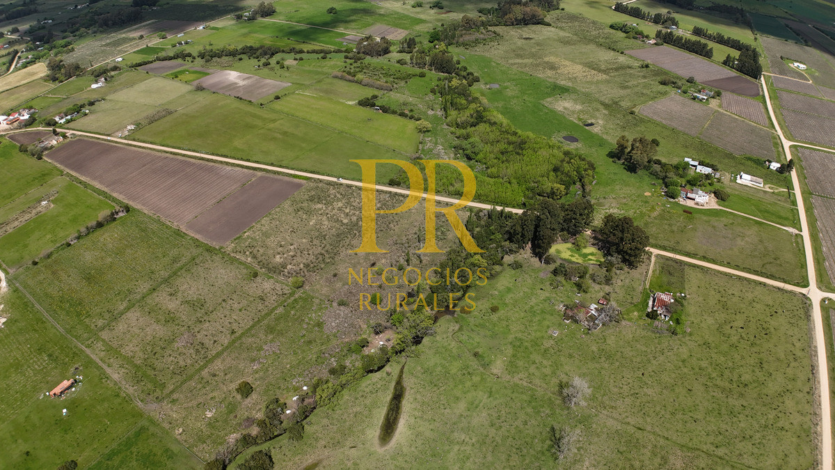 Chacra ID.5 - Campo en Las Violetas Canalones 4.5 hectáreas