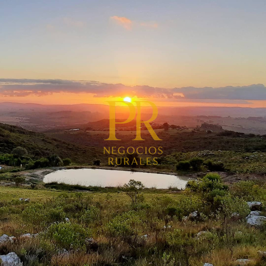 Chacra ID.27 - Chacra 5 hectáreas en Las Cañas Maldonado