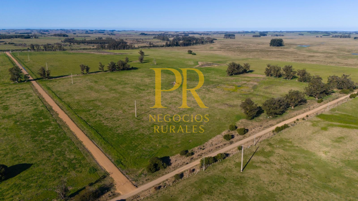 Chacra ID.13 - Chacra En Rocha - Balcones De Rocha - La Paloma Ruta 15