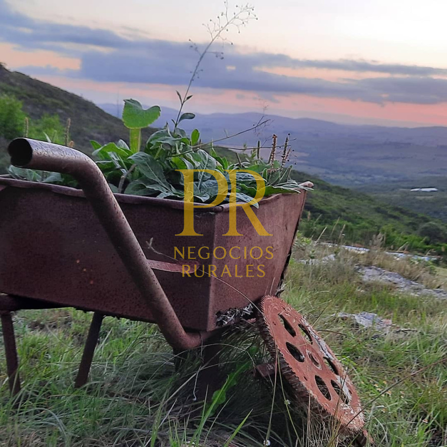 Chacra ID.27 - Chacra 5 hectáreas en Las Cañas Maldonado