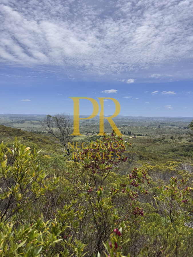 Chacra ID.27 - Chacra 5 hectáreas en Las Cañas Maldonado