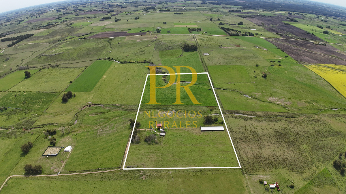 Chacra ID.6 - Chacra con dos casas próximo a San Jacino - Paraje La Paloma