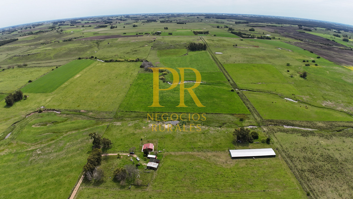 Chacra ID.6 - Chacra con dos casas próximo a San Jacino - Paraje La Paloma