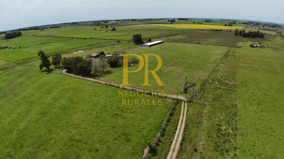 Chacra ID.6 - Chacra con dos casas próximo a San Jacino - Paraje La Paloma