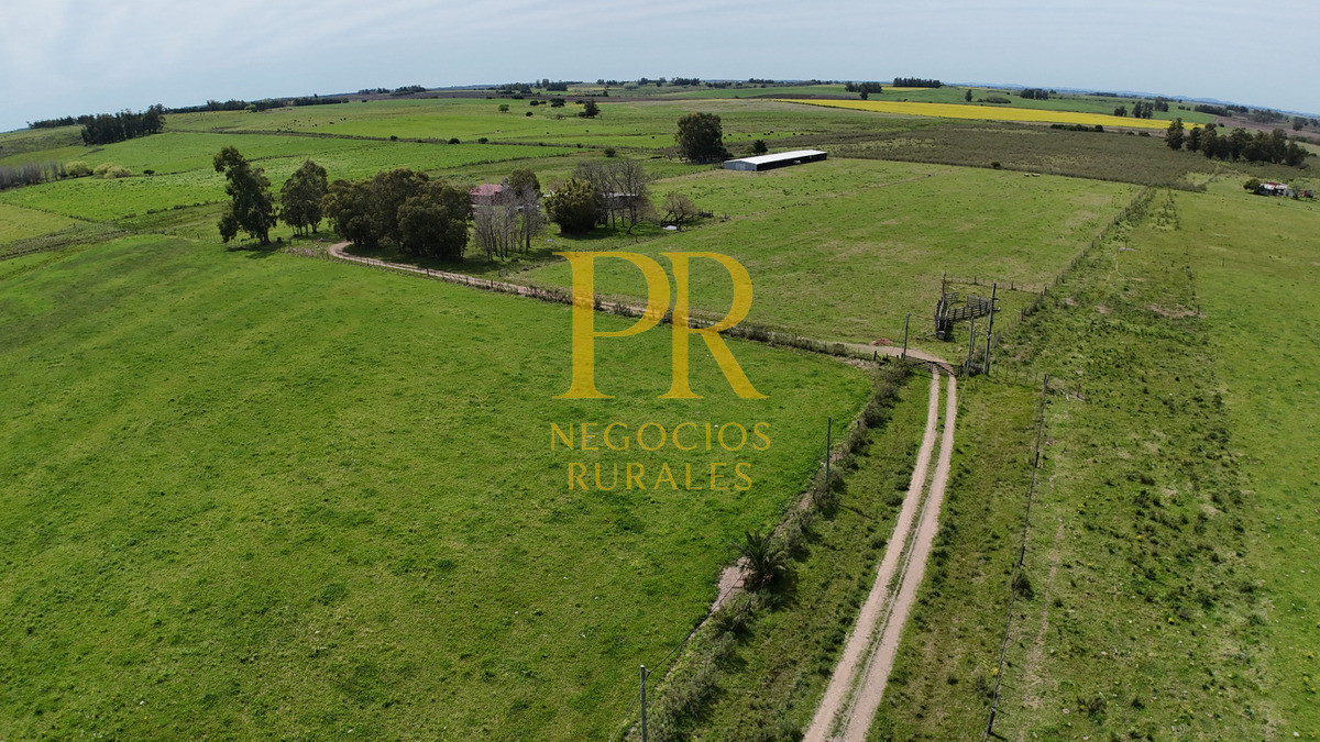 Chacra ID.6 - Chacra con dos casas próximo a San Jacino - Paraje La Paloma