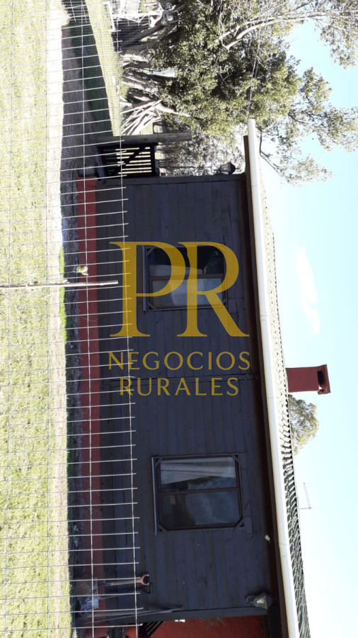 Chacra ID.6 - Chacra con dos casas próximo a San Jacino - Paraje La Paloma