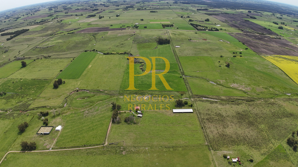 Chacra ID.6 - Chacra con dos casas próximo a San Jacino - Paraje La Paloma