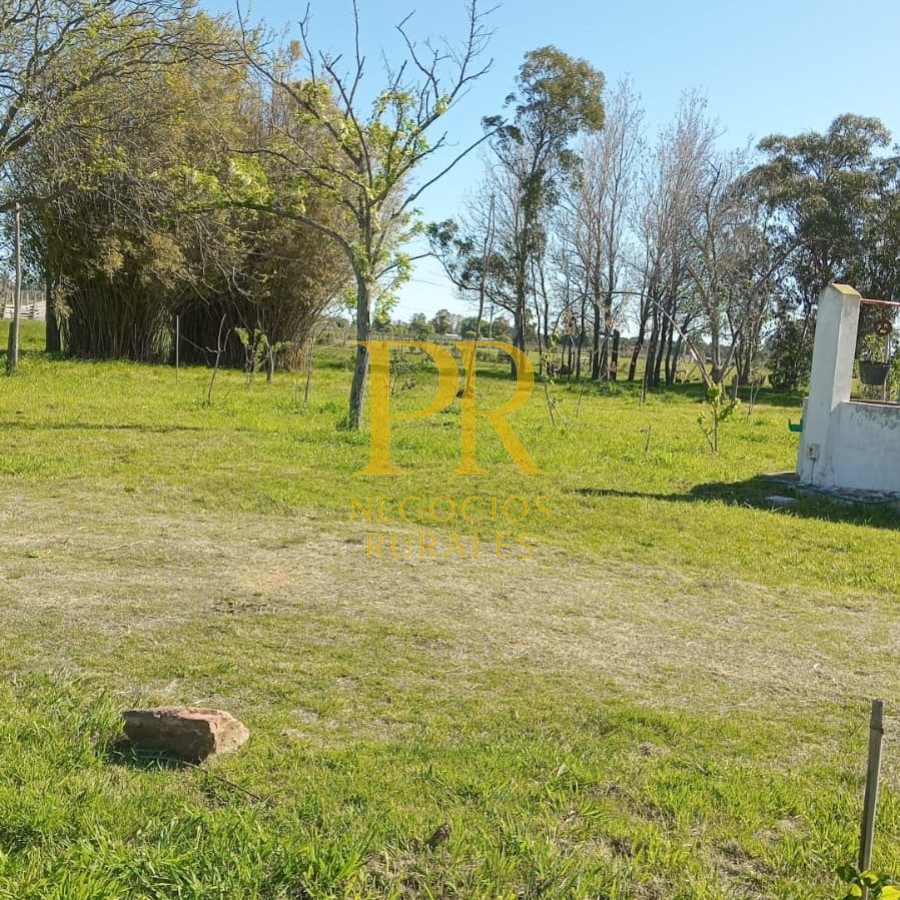 Chacra ID.6 - Chacra con dos casas próximo a San Jacino - Paraje La Paloma