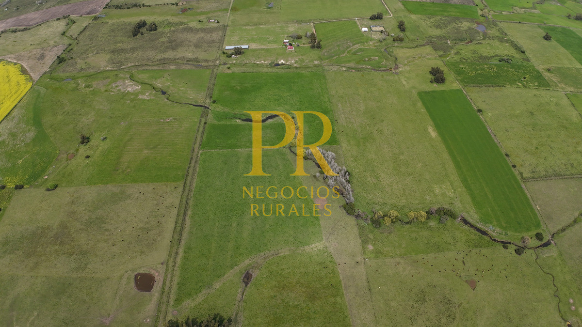 Chacra ID.6 - Chacra con dos casas próximo a San Jacino - Paraje La Paloma