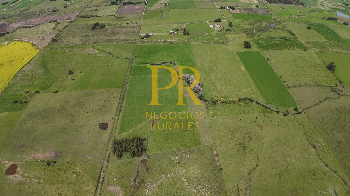 Chacra ID.6 - Chacra con dos casas próximo a San Jacino - Paraje La Paloma