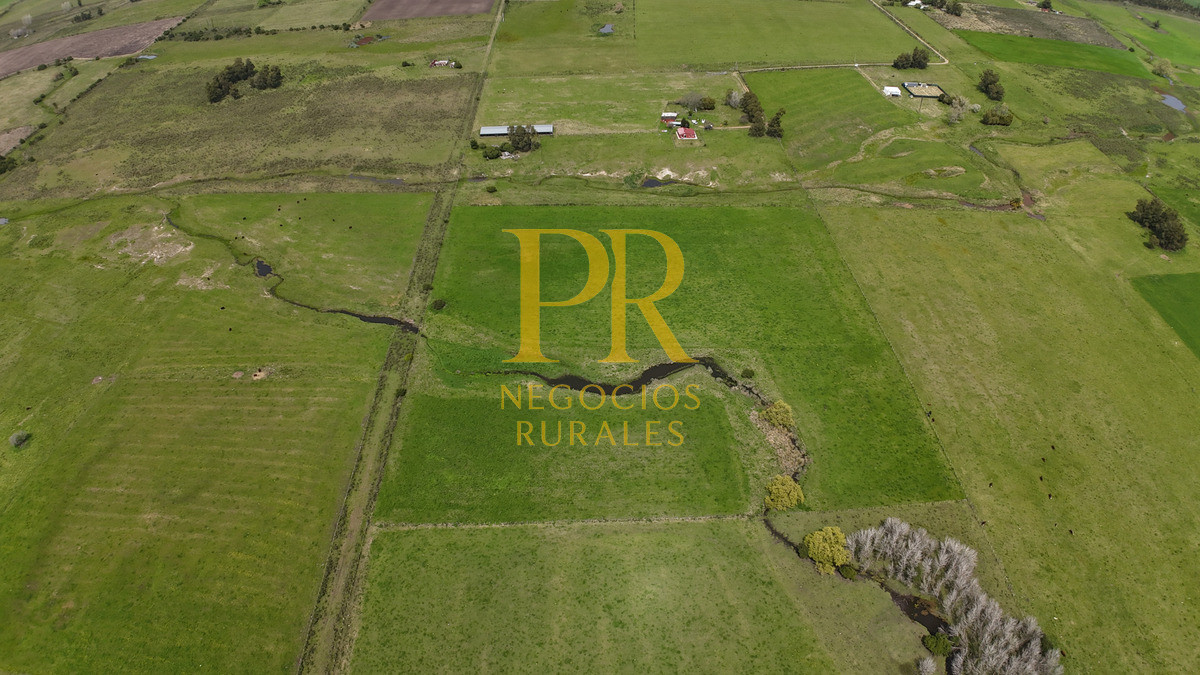 Chacra ID.6 - Chacra con dos casas próximo a San Jacino - Paraje La Paloma