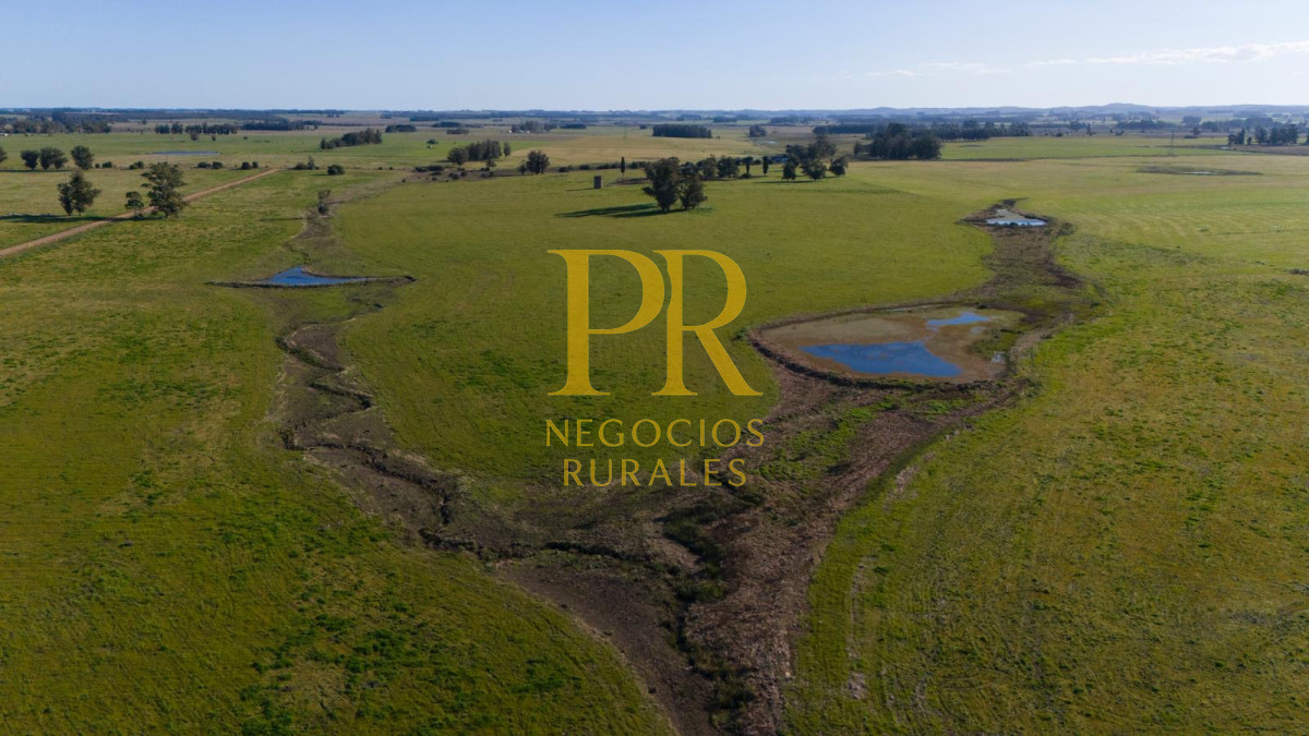 Chacra ID.13 - Chacra En Rocha - Balcones De Rocha - La Paloma Ruta 15