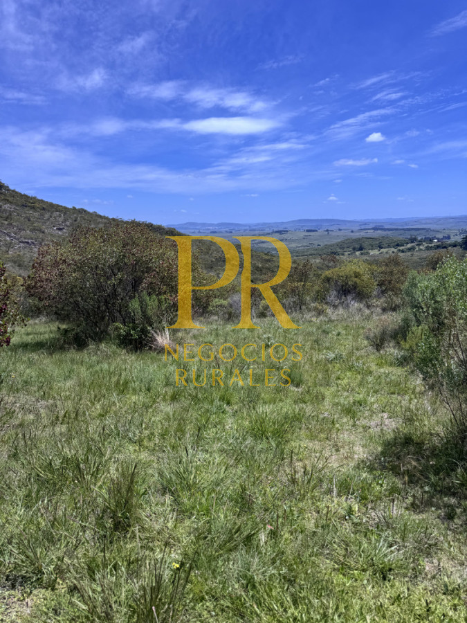 Chacra ID.27 - Chacra 5 hectáreas en Las Cañas Maldonado