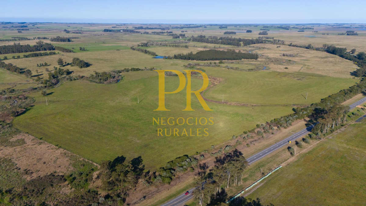 Chacra ID.13 - Chacra En Rocha - Balcones De Rocha - La Paloma Ruta 15