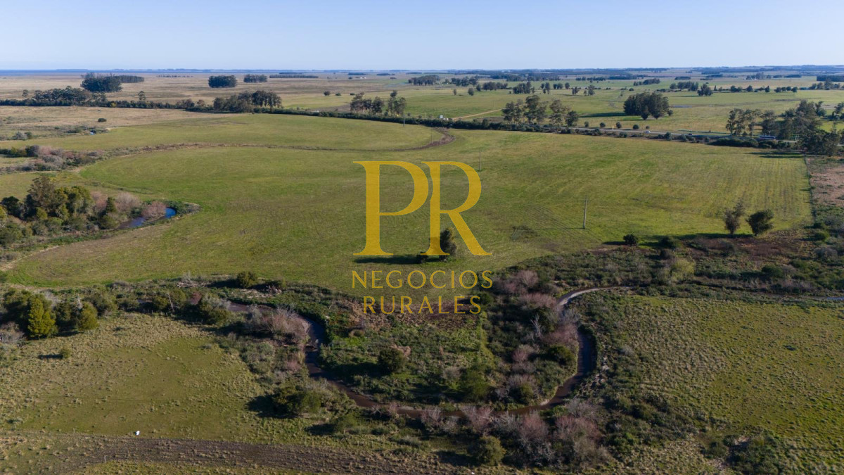 Chacra ID.13 - Chacra En Rocha - Balcones De Rocha - La Paloma Ruta 15