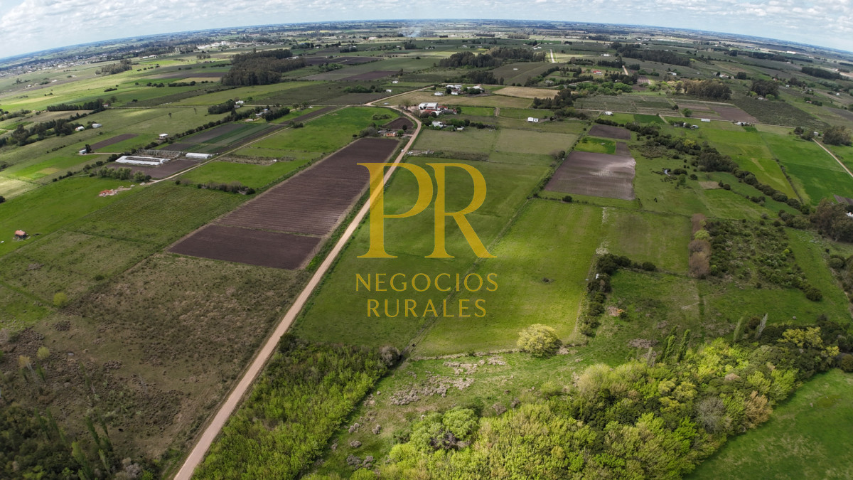 Chacra ID.5 - Campo en Las Violetas Canalones 4.5 hectáreas