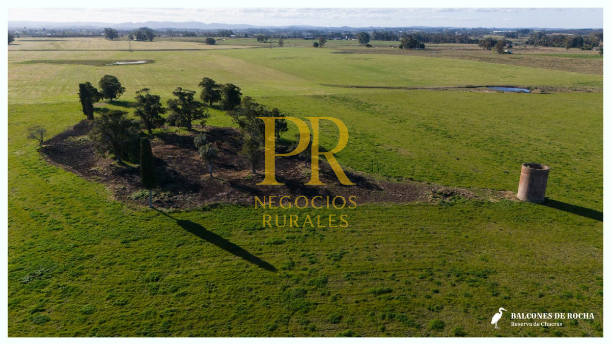 Chacra ID.13 - Chacra En Rocha - Balcones De Rocha - La Paloma Ruta 15