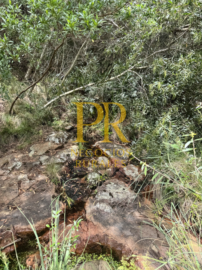 Chacra ID.27 - Chacra 5 hectáreas en Las Cañas Maldonado