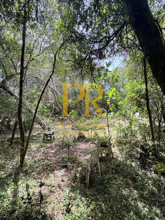 Chacra ID.27 - Chacra 5 hectáreas en Las Cañas Maldonado