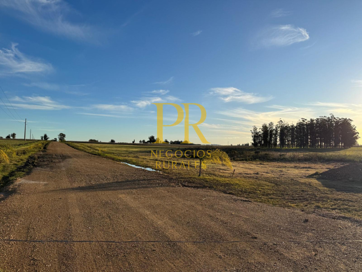 Chacra ID.13 - Chacra En Rocha - Balcones De Rocha - La Paloma Ruta 15