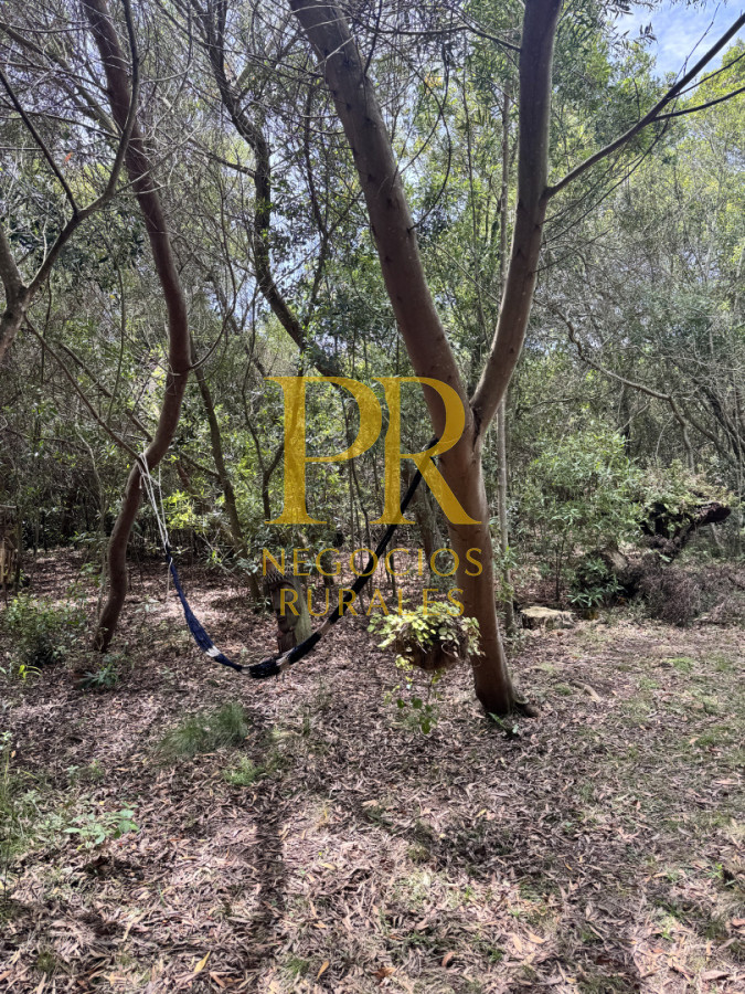 Chacra ID.27 - Chacra 5 hectáreas en Las Cañas Maldonado