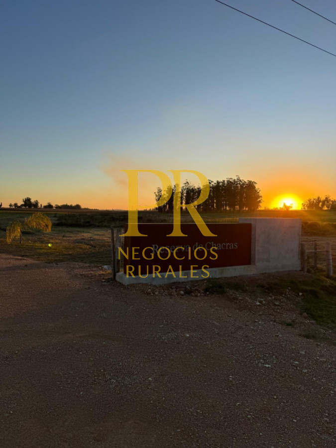 Chacra ID.13 - Chacra En Rocha - Balcones De Rocha - La Paloma Ruta 15