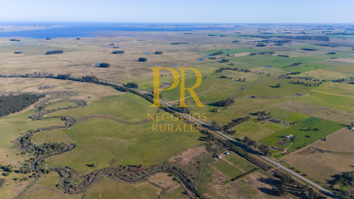 Chacra ID.13 - Chacra En Rocha - Balcones De Rocha - La Paloma Ruta 15