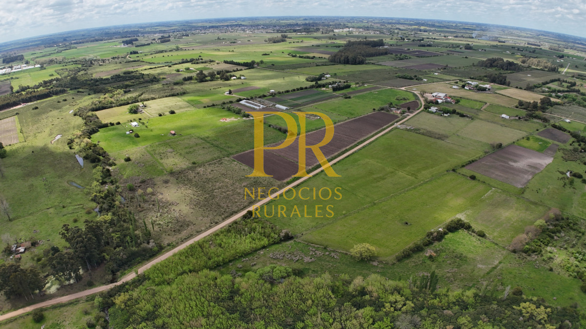 Chacra ID.5 - Campo en Las Violetas Canalones 4.5 hectáreas