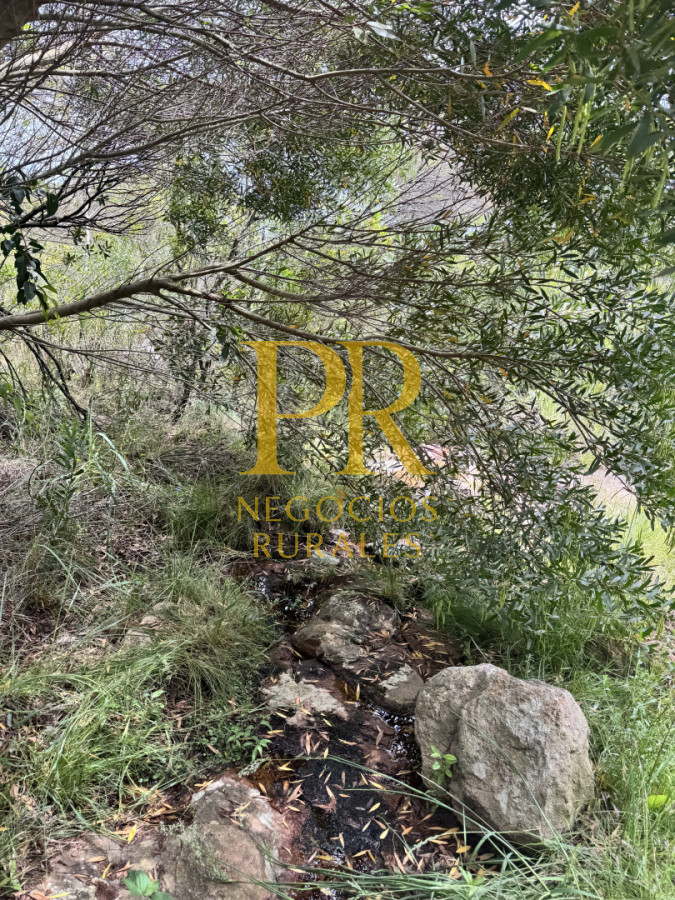 Chacra ID.27 - Chacra 5 hectáreas en Las Cañas Maldonado