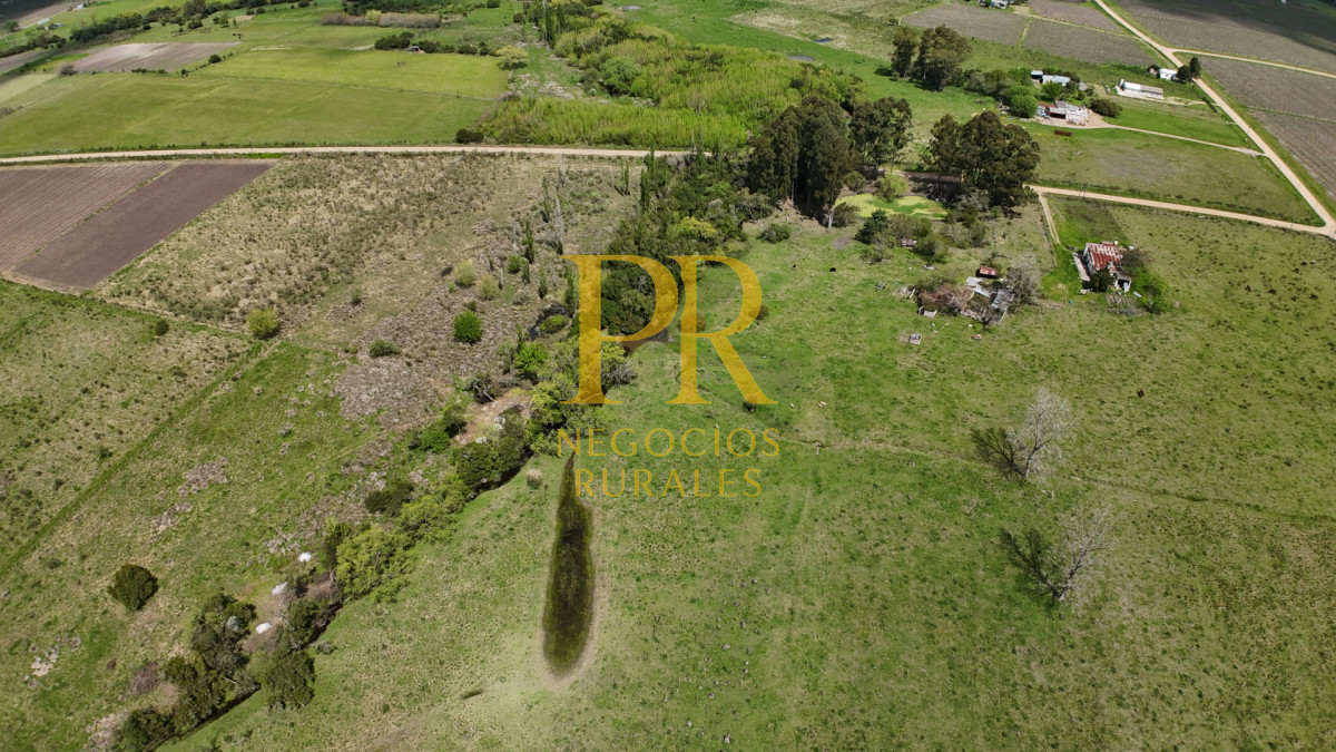 Chacra ID.5 - Campo en Las Violetas Canalones 4.5 hectáreas