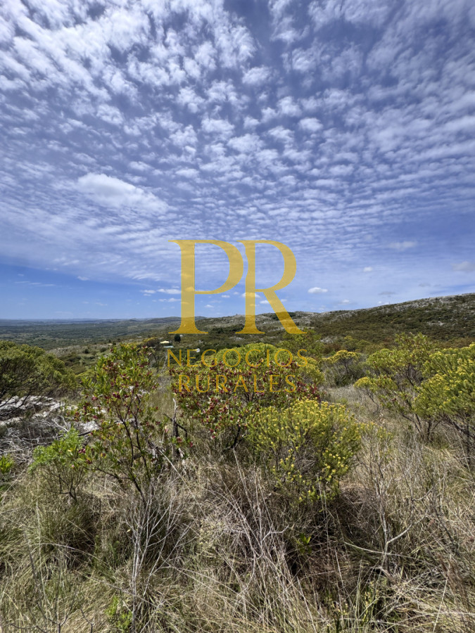 Chacra ID.27 - Chacra 5 hectáreas en Las Cañas Maldonado