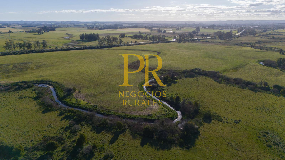 Chacra ID.13 - Chacra En Rocha - Balcones De Rocha - La Paloma Ruta 15