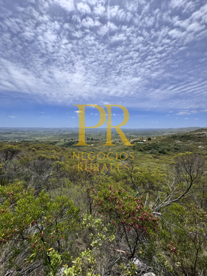 Chacra ID.27 - Chacra 5 hectáreas en Las Cañas Maldonado