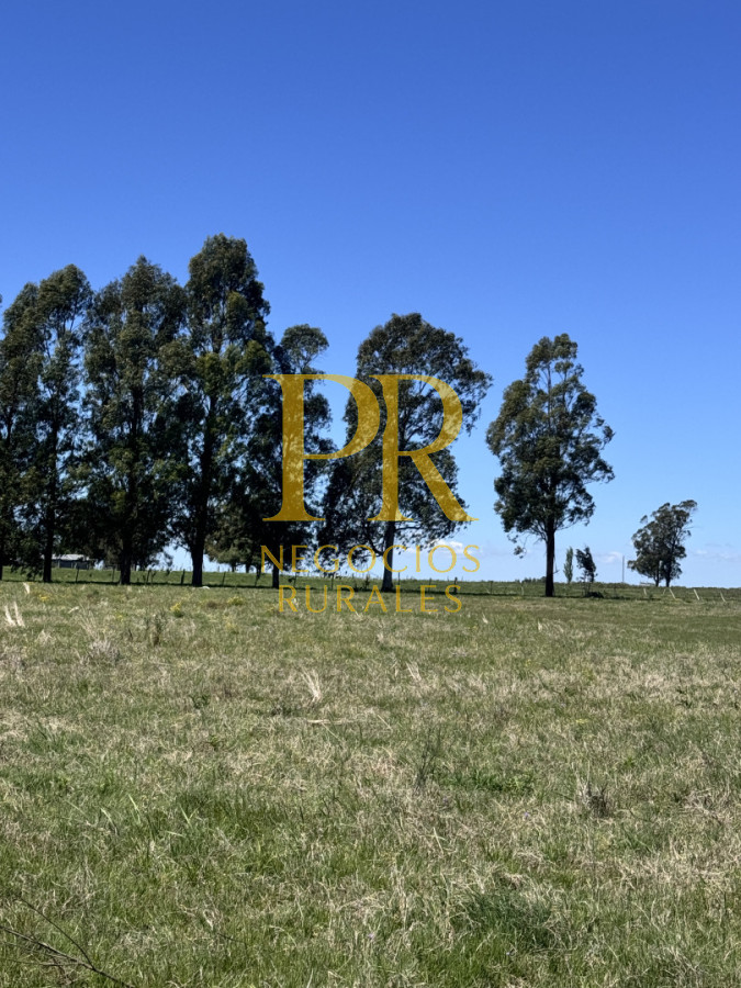 Chacra ID.18 - Chacra próximo a Migues - Costas de Pedernal