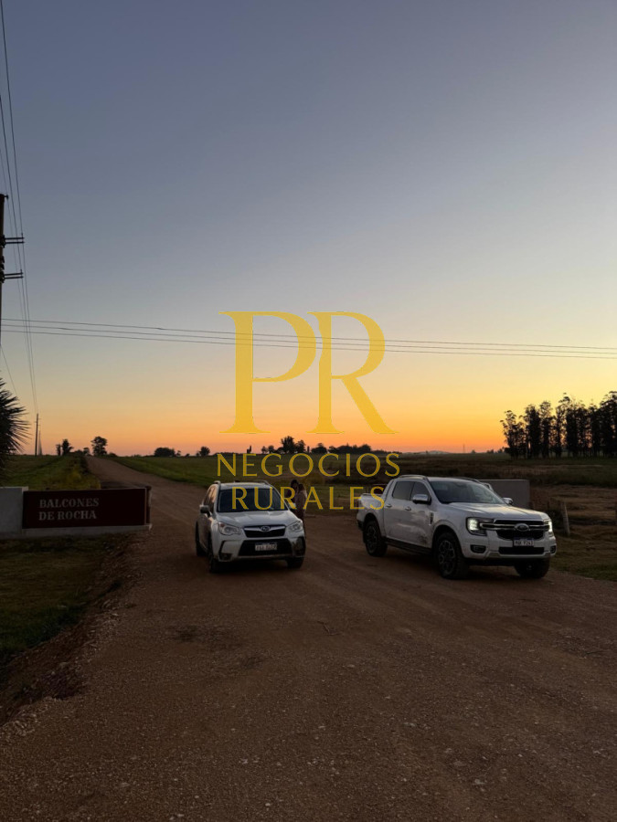 Chacra ID.13 - Chacra En Rocha - Balcones De Rocha - La Paloma Ruta 15