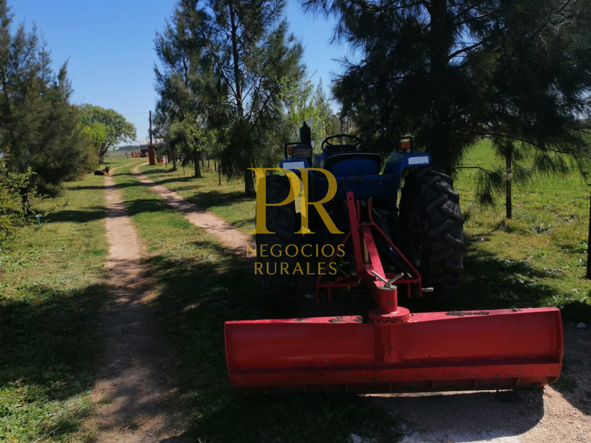 Chacra ID.18 - Chacra próximo a Migues - Costas de Pedernal