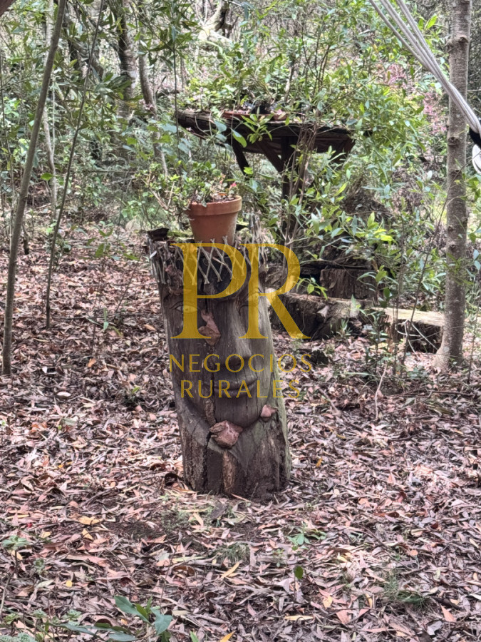 Chacra ID.27 - Chacra 5 hectáreas en Las Cañas Maldonado