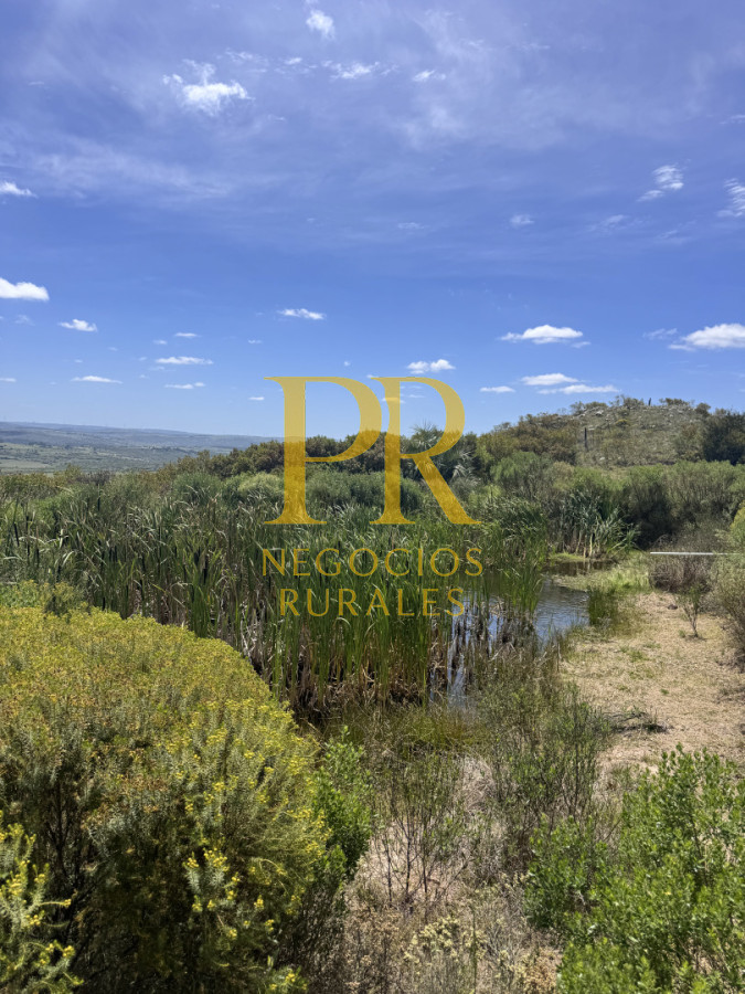 Chacra ID.27 - Chacra 5 hectáreas en Las Cañas Maldonado