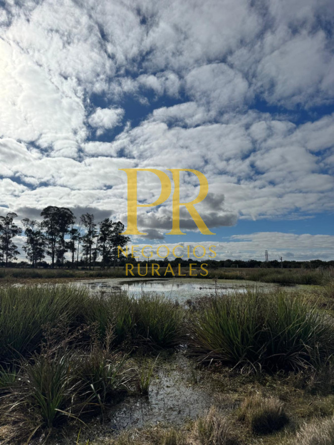 Chacra ID.13 - Chacra En Rocha - Balcones De Rocha - La Paloma Ruta 15