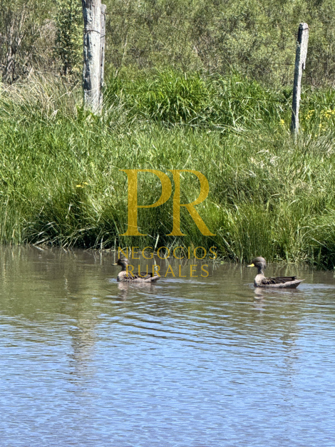 Chacra ID.18 - Chacra próximo a Migues - Costas de Pedernal