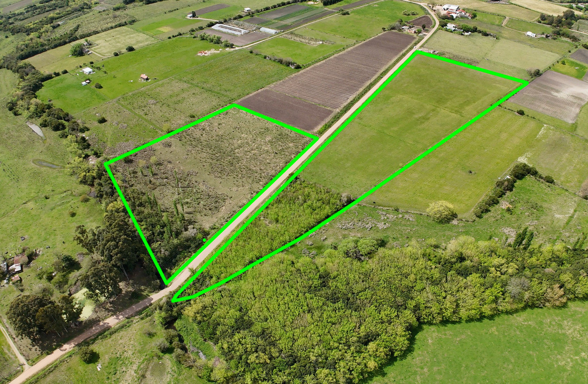 Campo en Las Violetas Canalones 4.5 hectáreas