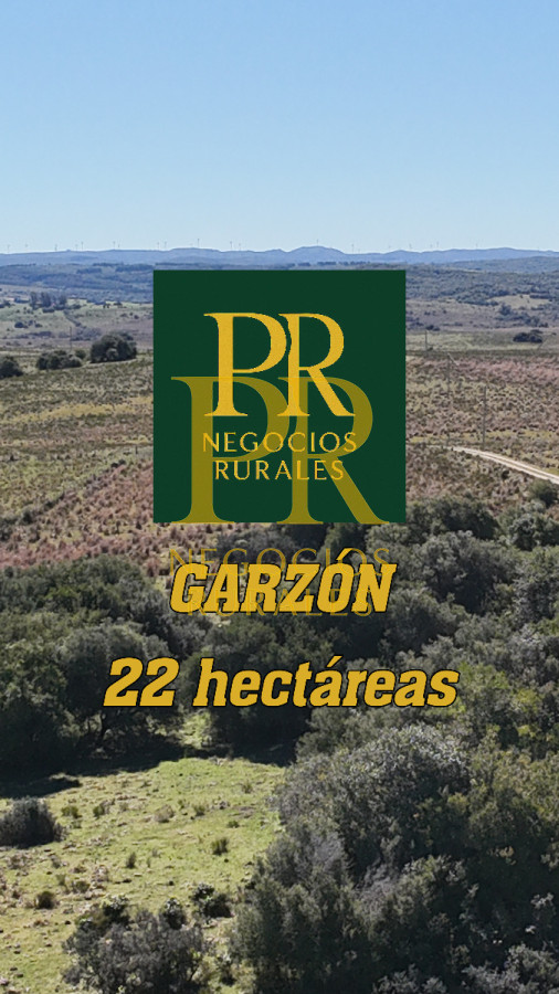 Campo Ref.10 - 22 hectáreas Garzón - Paso la Cantera