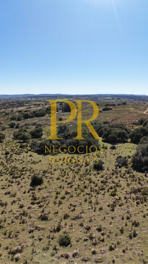 Campo Ref.10 - 22 hectáreas Garzón - Paso la Cantera