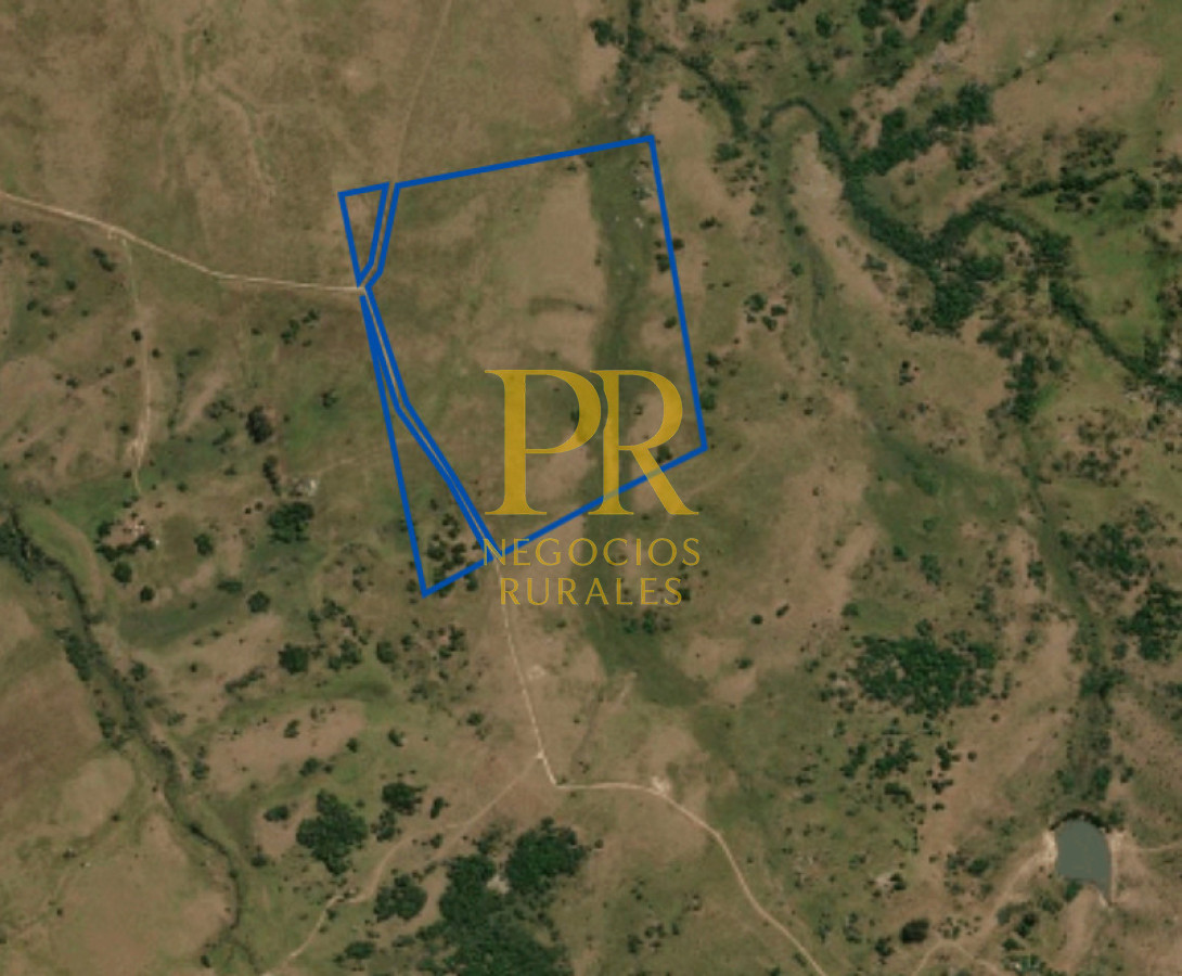 Campo Ref.10 - 22 hectáreas Garzón - Paso la Cantera