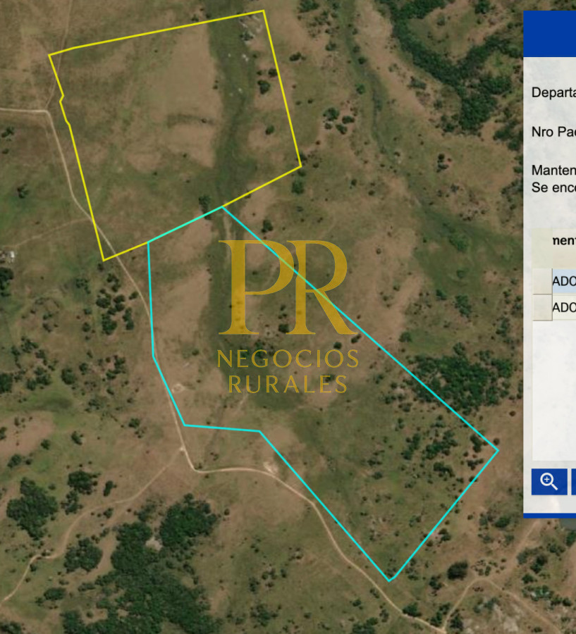 Campo Ref.10 - 22 hectáreas Garzón - Paso la Cantera