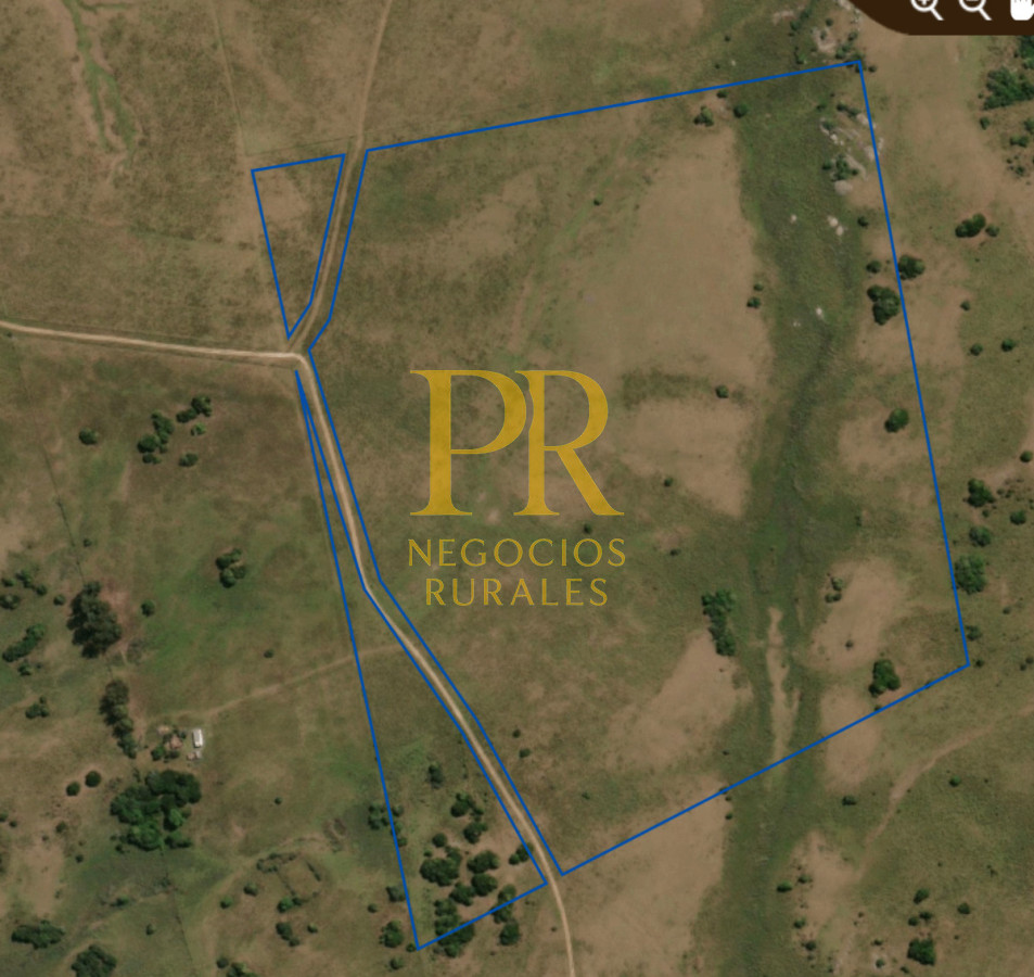 Campo Ref.10 - 22 hectáreas Garzón - Paso la Cantera