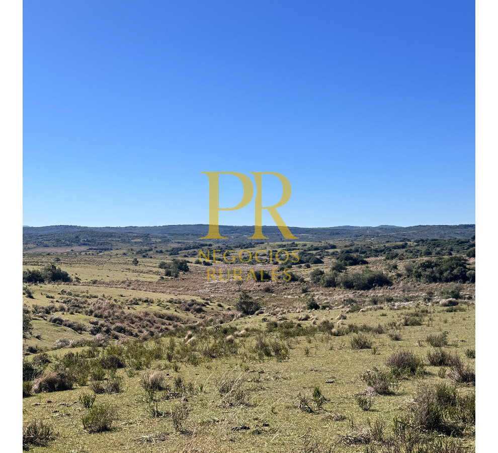Campo Ref.10 - 22 hectáreas Garzón - Paso la Cantera