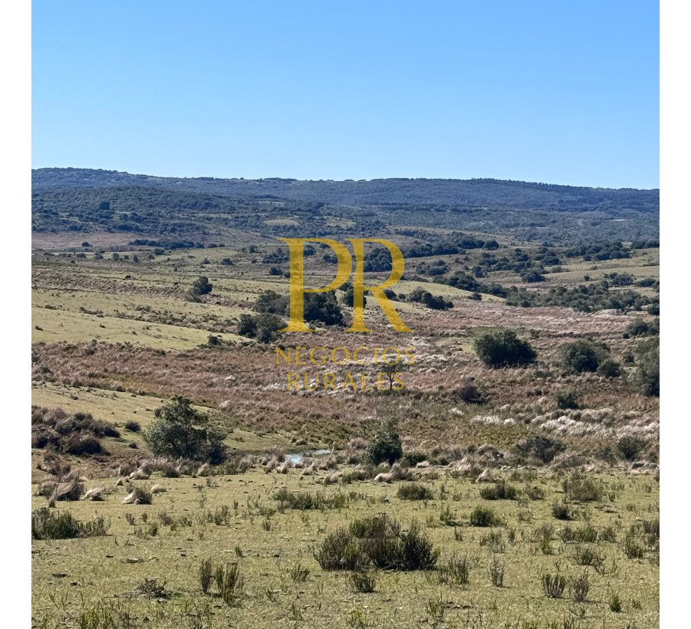 Campo Ref.10 - 22 hectáreas Garzón - Paso la Cantera