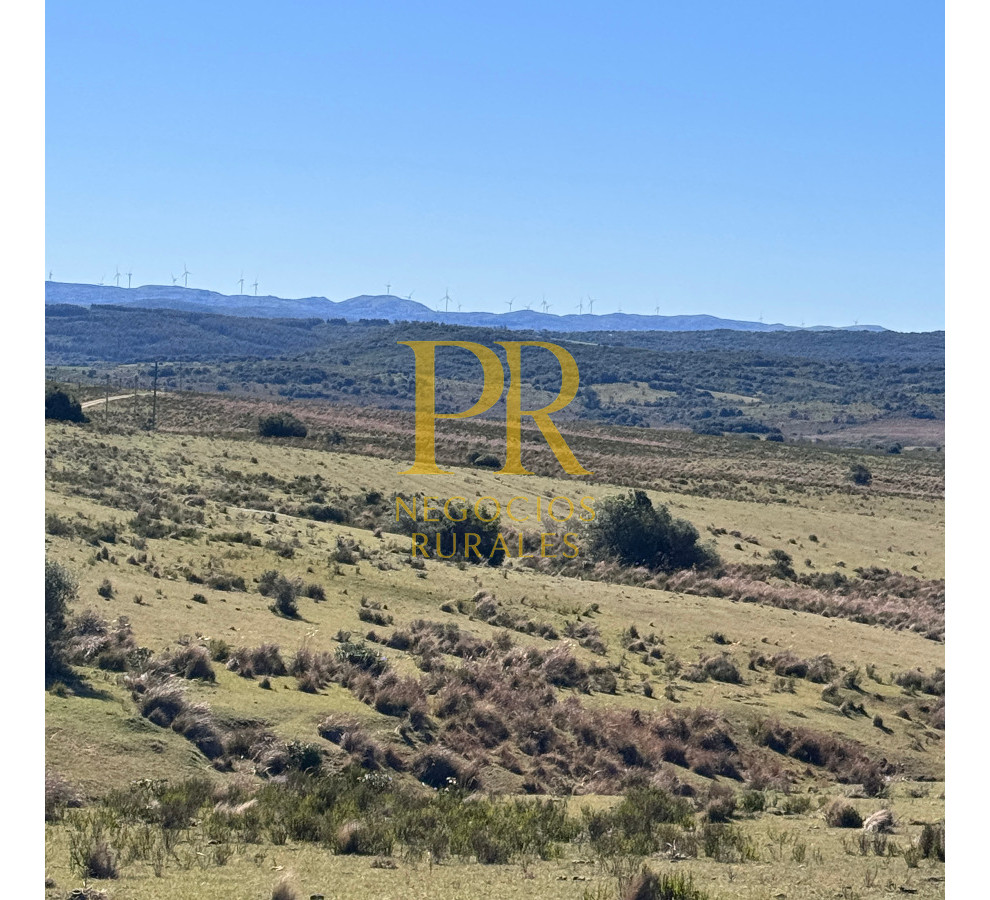 Campo Ref.10 - 22 hectáreas Garzón - Paso la Cantera